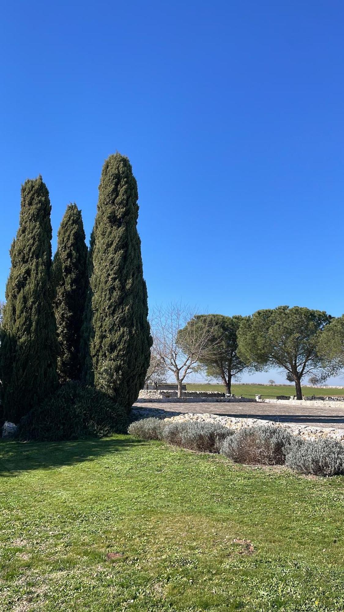 Masseria La Mandra Noci Exterior foto